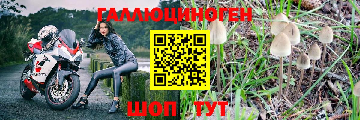 Псилоцибиновые грибы прущие грибы  Вход с VPN  Тавда  Галлюциногенные грибы Psilocybe 